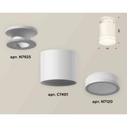 Комплект накладного светильника Ambrella light Techno Spot XS7401064 SWH/FR белый песок/белый матовый (N7925, C7401, N7120)  купить